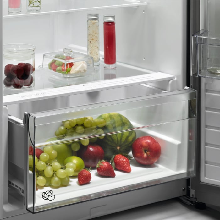 AEG - Frigo pose libre - ORK6D391EX