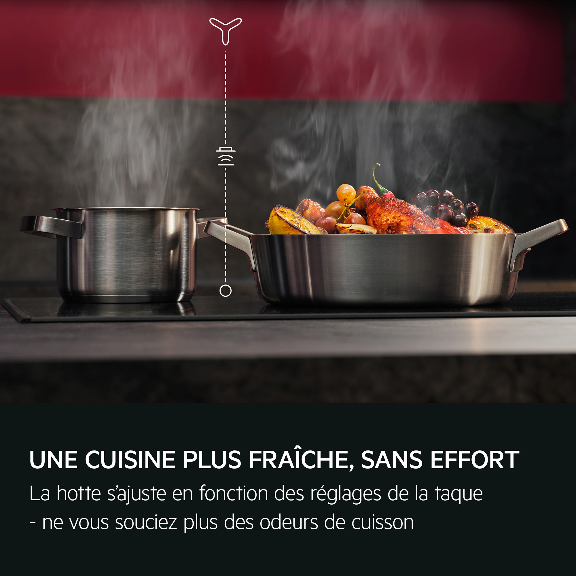 AEG - Hotte pour îlot de cuisine - NDC7792SW