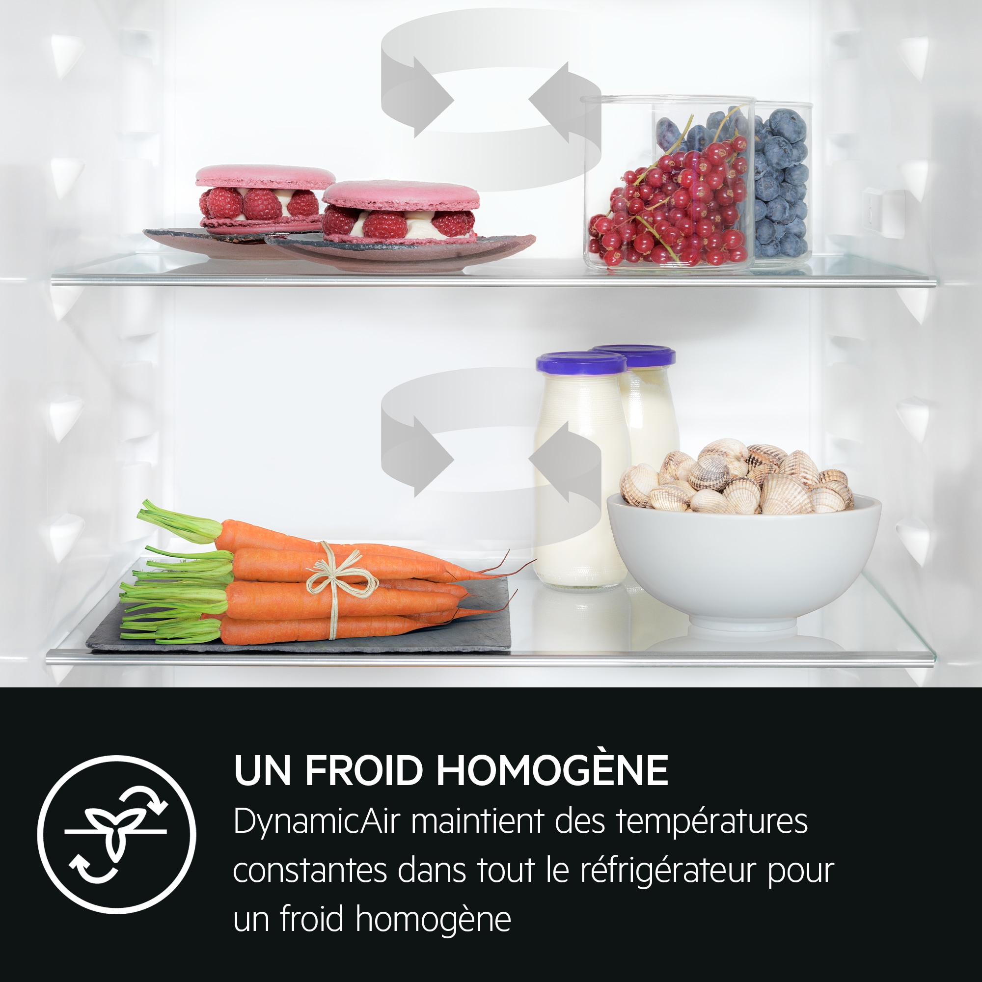 AEG - Frigo congélateur encastrable - NSC9V181CS